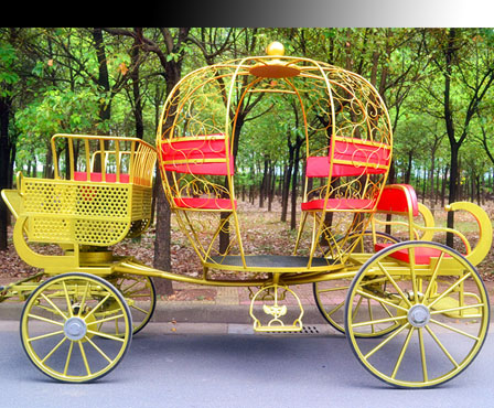 Royal cinderella pumpkin carriage