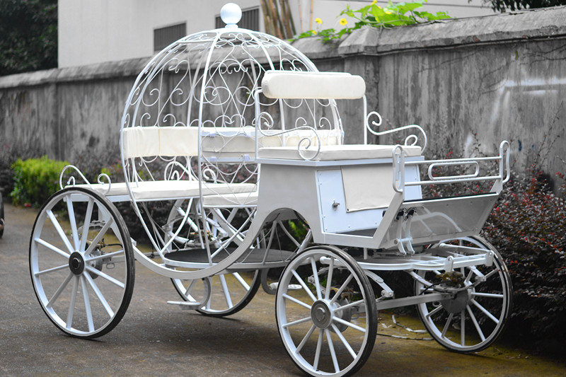 Cinderlla pumpkin carriage