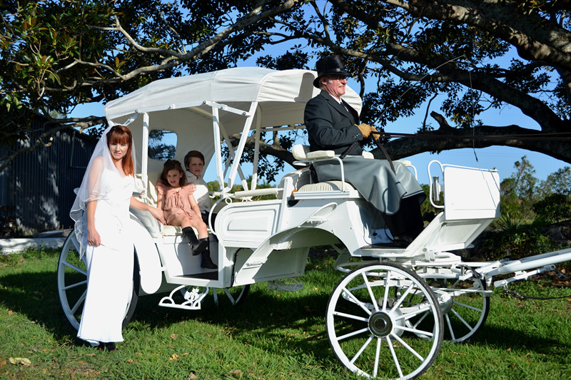 New wedding carriage