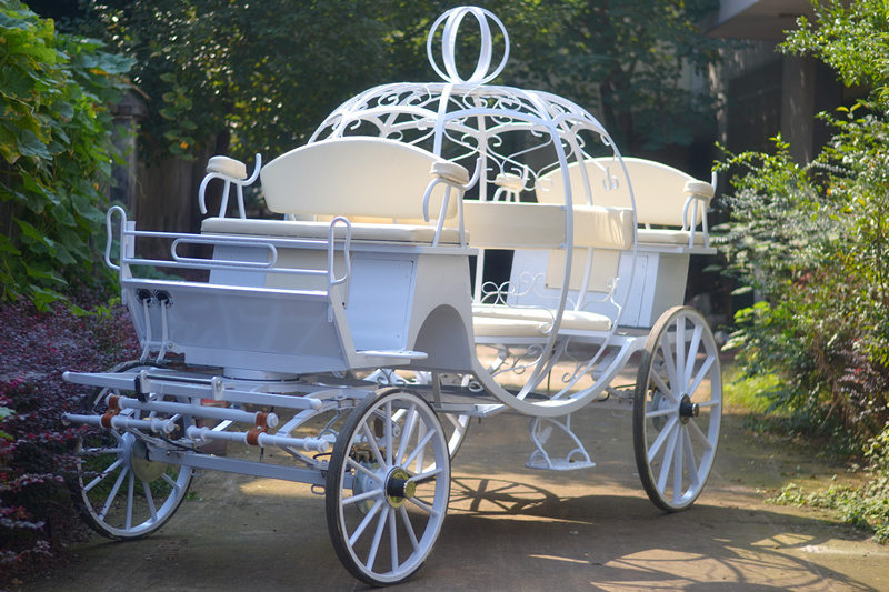 Cinderella horse carriage for sale