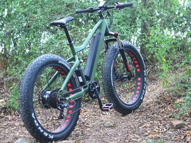 TDE09Z Fat Ebike
