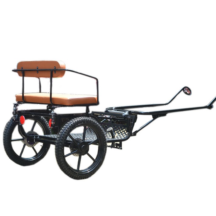 Two wheel pony cart BTH-05P